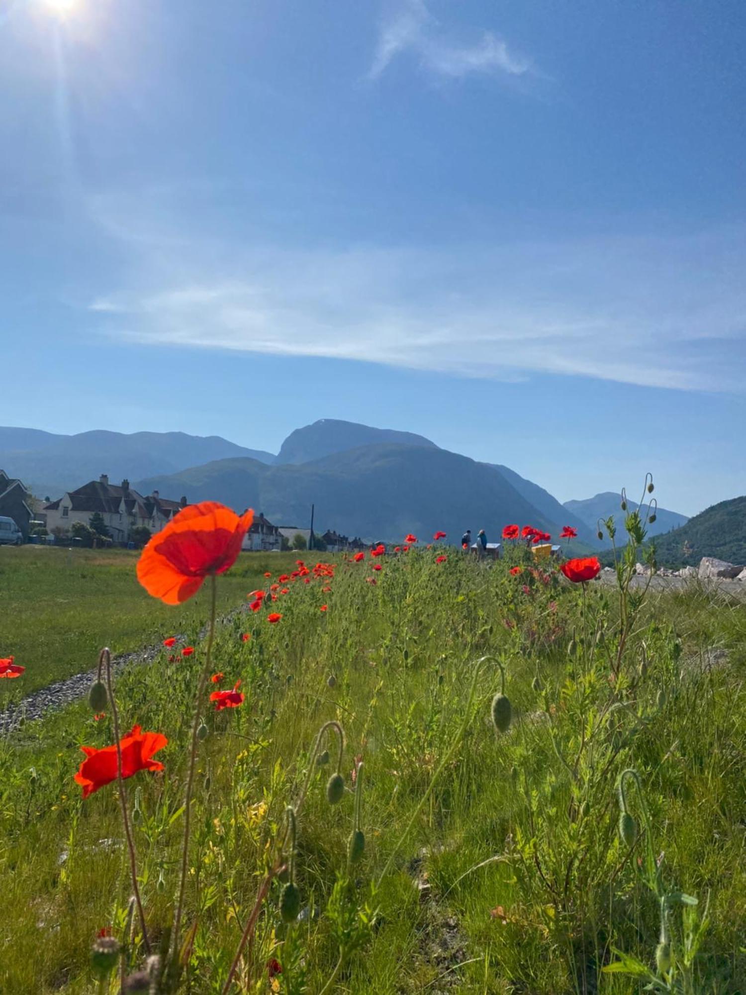 Torlinnhe Fort William Luaran gambar