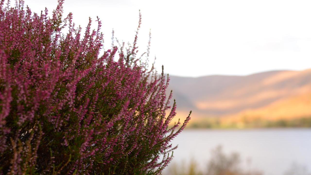 Torlinnhe Fort William Luaran gambar